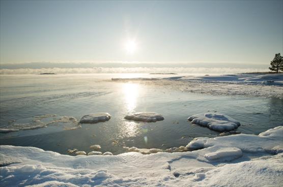 Frozen shore with sun shining low.